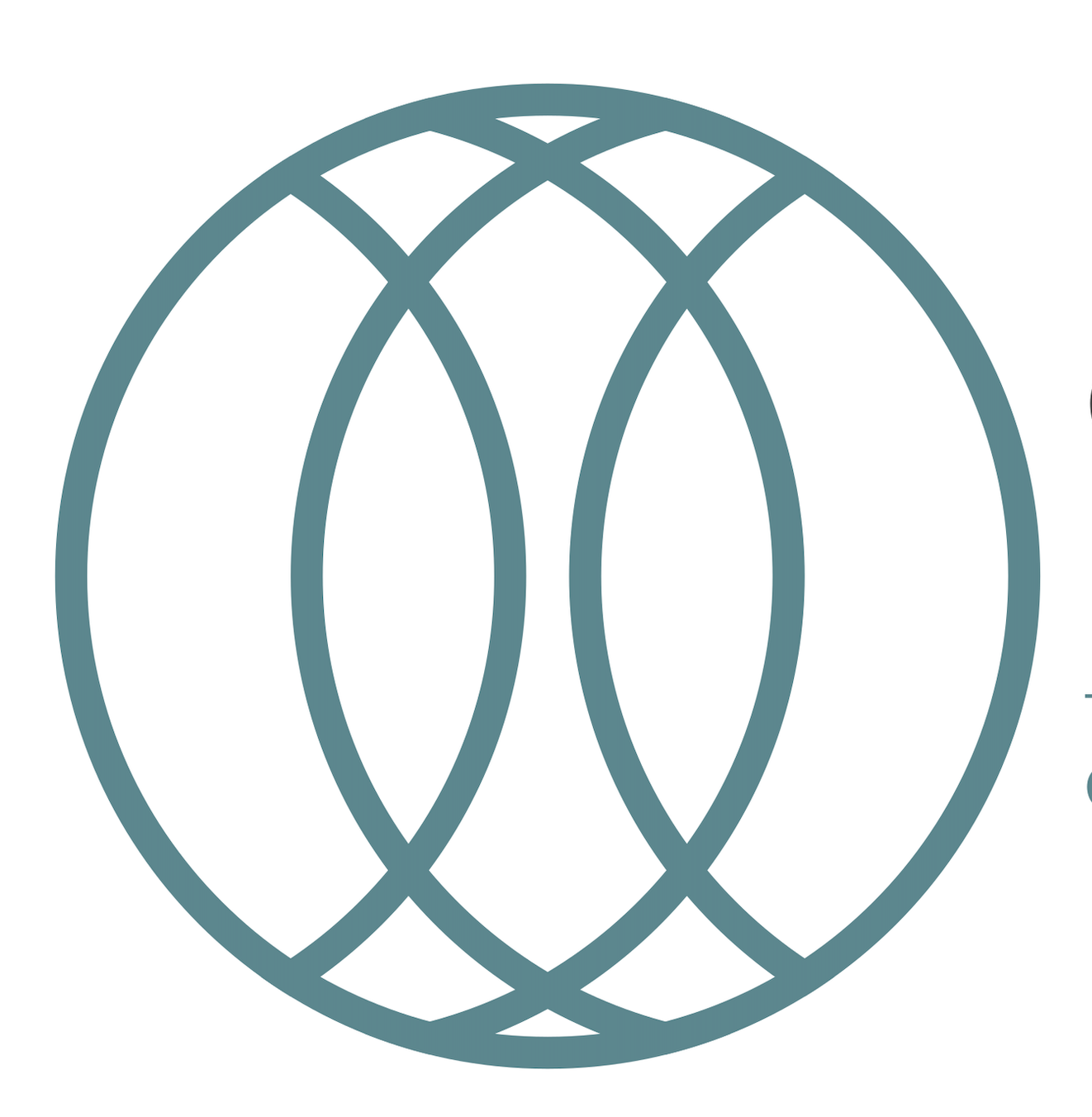 Christian Hönle Logo